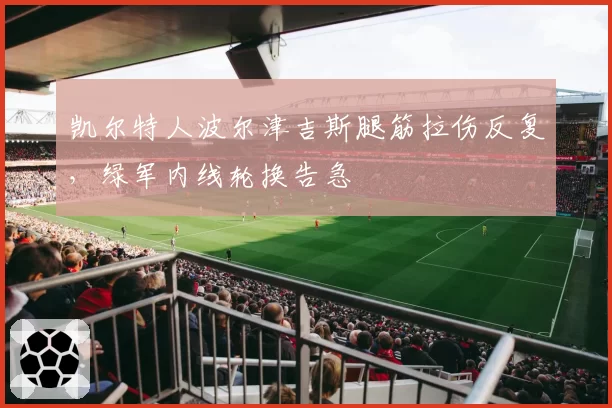 凯尔特人波尔津吉斯腿筋拉伤反复,绿军内线轮换告急